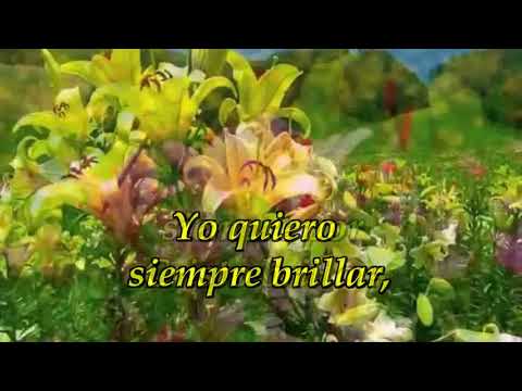 556 Yo quiero siempre brillar