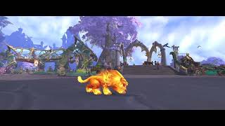 wow druid of the flame cat form