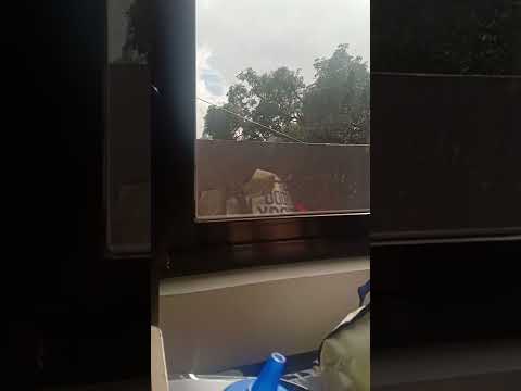 #shorts rain and sun