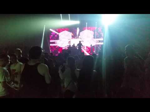 XS Project   спайс