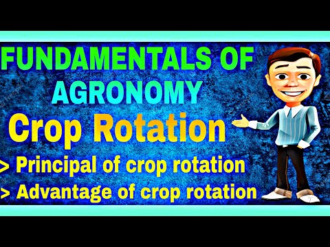 agronomy and it s scope agronomy and it s scope bsc agriculture agronomy Mayank Tripathi