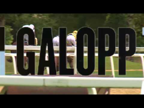 3 dostih Karlovy Vary 6.8.2017