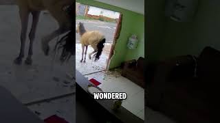 Why Doesn’t Glass Break When a Horse Kicks It? #shorts