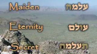A History of Hebrew Part 10: The Hebrew Root System