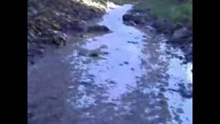 David Gilmour   love on the air