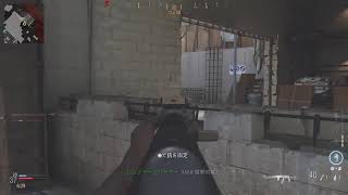 CODMW 久しぶり過ぎるのでリハビリエイム