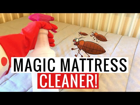 YouTube video about: How to sanitize a used mattress?