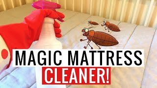 How to Clean a Mattress, Remove Stains, Smells & Disinfect!!! (SO EASY) | Andrea Jean Cleaning