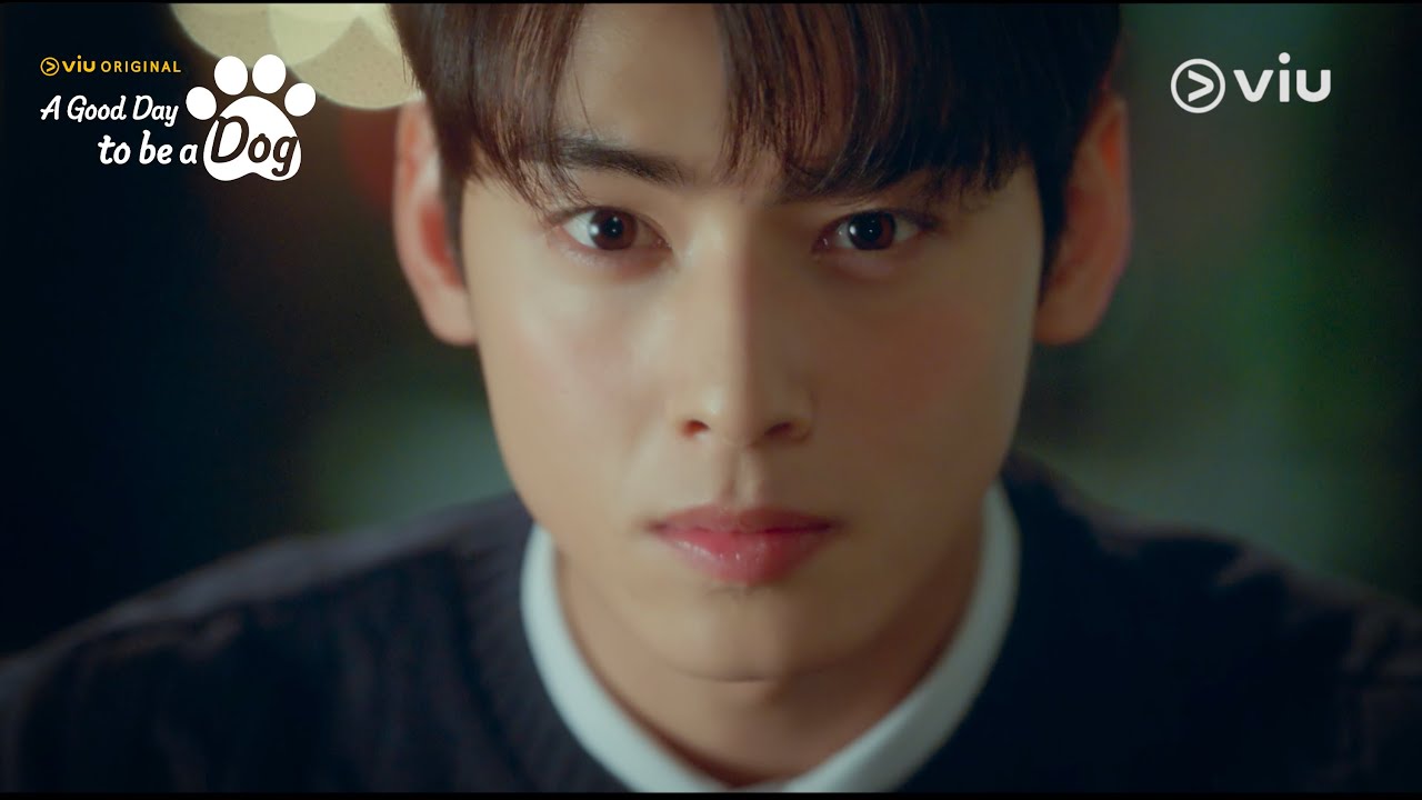 Teaser 2: Cha Eun Woo's Paw-dorable Secret! [ENG SUB]