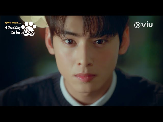 Teaser 2: Cha Eun Woo's Paw-dorable Secret! [ENG SUB]