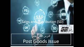 Post Goods Issue SAP SD 12