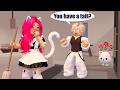 From A CUTE CAT, I Turn Into A PRETTY MAID! (Episode 1-3) | Roblox Family Roleplay DEFAULT Thumbnail