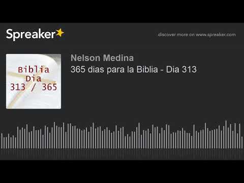 365 days for the Bible - Day 313