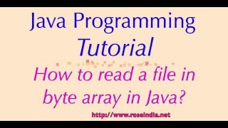 How to read a file in byte array in Java?