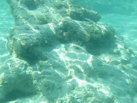 Cyrus CS28 - Wassertest