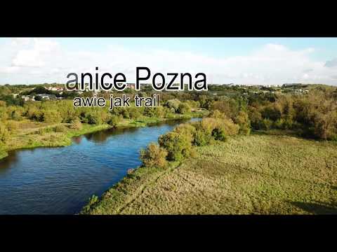 Granice Poznania - prawie jak trailer