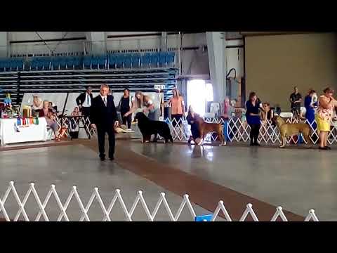 Rumble group one nkc 2018