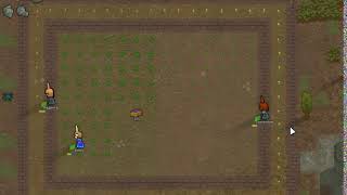 Video 4