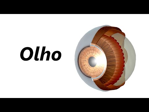 Anatomia do Olho em 3D