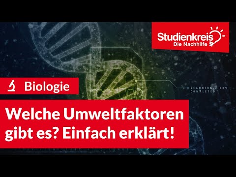 Welche Umweltfaktoren gibt es? Einfach erklärt! | Biologie verstehen mit dem Studienkreis
