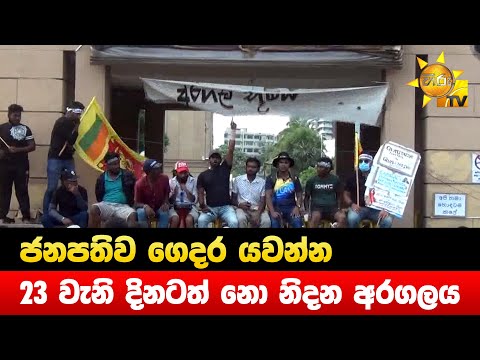 ජනපතිව ගෙදර යවන්න 23 වැනි දිනටත් නො නිදන අරගලය - Hiru News