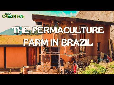 Learn about agroforestry and natural building in community at Eco Caminhos in Brazil ??