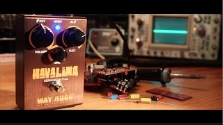 The Way Huge Havalina Germanium Fuzz: A Complete Overview (Humbuckers & Single Coils)