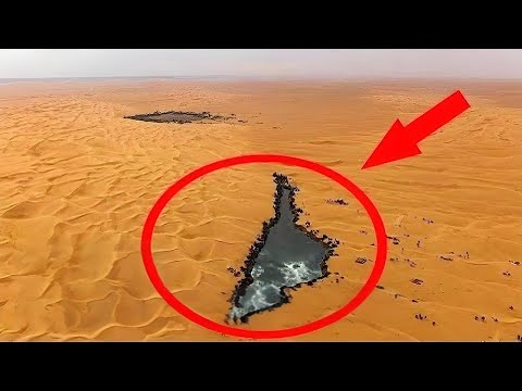 なぜ鶏や野鳥の餌箱に砂を入れるのでしょうか？  庭園