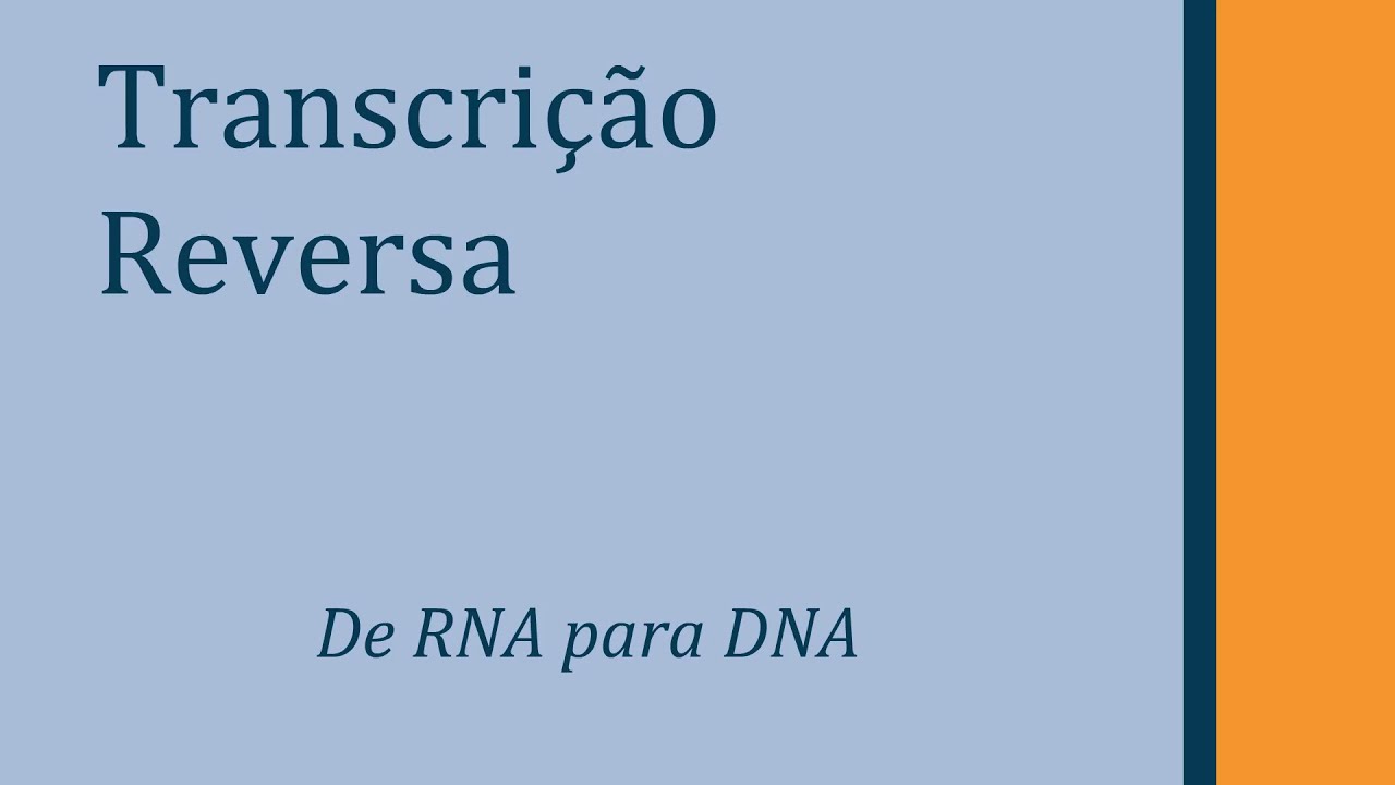 A Transcrição Reversa (Reverse Transcription, RT)