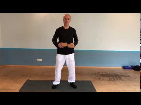 Pfau (Mayurasana) Variation mit Blöcken