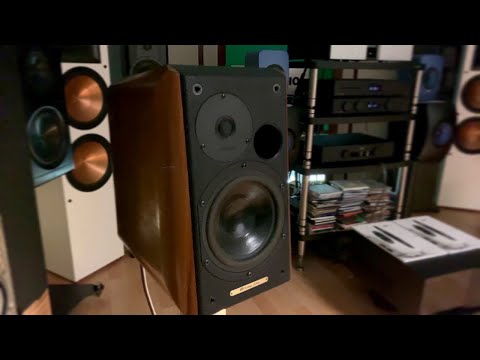 SONUS FABER Concertino Early 2000s - Walnut image 7
