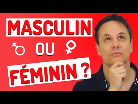 , title : 'Comment savoir si c'est Masculin ou Féminin en Français? 5 Astuces Très Utiles pour le savoir!!'
