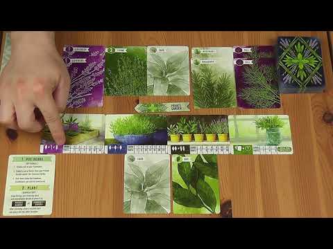 JÁTÉKSZABÁLY: HERBACEOUS - d3meeples