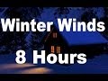 Winter Wind : Relaxing Nature Sounds for Sleep - 8 Hours Long