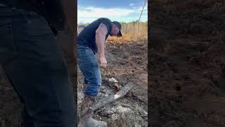 Download lagu #chainsaw #diy #stihl #powertools #tennessee #property #land mp3