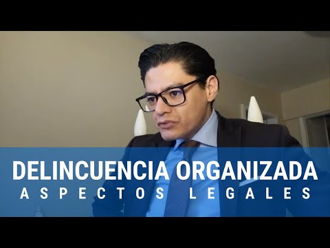 Delincuencia Organizada y Lavado de Dinero
