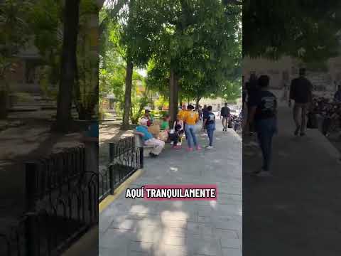 turen  portuguesa preparándose para la Navidad