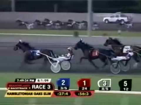 Elusive Desire, Hambletonian Oaks Elimination 2, August 1 2009, Meadowlands.