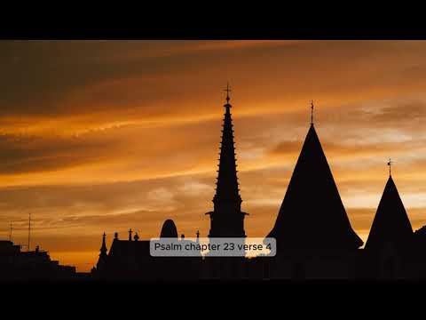 Vi är en kyrka i lilla staden Simrishamn. Alla är välkommna ställ frågor vi svarar snabbt.