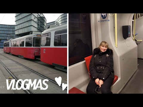 🇦🇹 CURSE OF PASSENGERS IN VIENNA IN POLISH! ON THE TRAM IN VIENNA #VLOGMAS 4