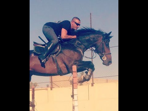 أحمد السقا يستعرض مواهبه في الفروسية.. بيرقص بالحصان على أغنية «الغزالة رايقة»