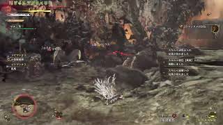 [MHWS]ソロマジオス