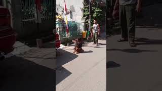 Download lagu ODGJ TELANJANG, DI KASIH PAKAIAN MALAH DI BUANG. #guitar #odgjwanita #vidioshorts #vidio mp3 Download lagu ODGJ TELANJANG, DI KASIH PAKAIAN MALAH DI BUANG. #guitar #odgjwanita #vidioshorts #vidio mp3