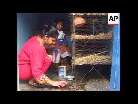 INDIA: CALCUTTA: MOTHER TERESA IS TO RETIRE