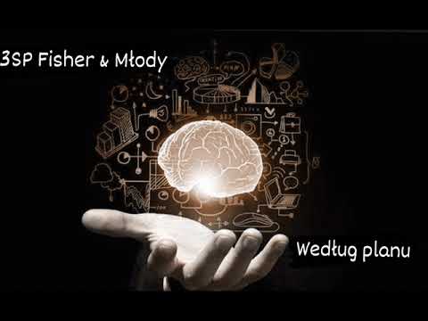 3SP Fisher&Młody - Według planu