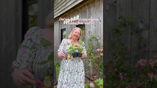 Download lagu Growing Dahlias from seeds #dahlias #gardeningtips #gardeningideas mp3 Download lagu Growing Dahlias from seeds #dahlias #gardeningtips #gardeningideas mp3