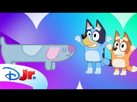 Bluey Hidden Surprises | Find All the Long Dogs! 🐶 | @disneyjr
