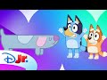 Bluey Hidden Surprises Find All The Long Dogs Disneyjr