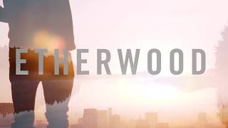 Video thumbnail of "Etherwood - In Stillness"