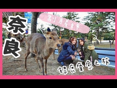 【vlog】激情制服妹的奈良餵鹿之旅｜NaHami